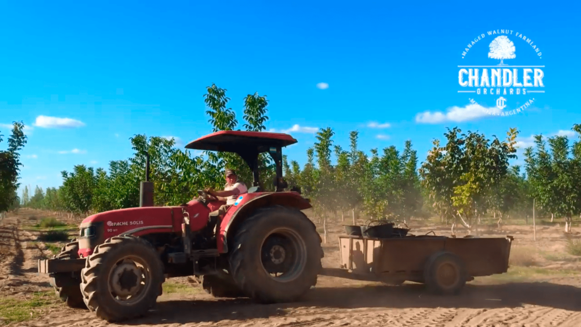 cosecha_mecanica_thumbnail